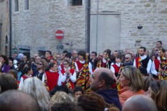 VANE43-240