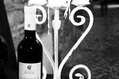 visciola-47